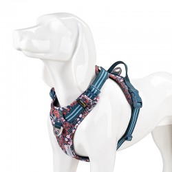 Special Edition Truelove Country PLUS + Flower Harnais chien dressage anti  traction & promenade